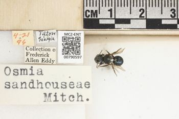 Media type: image;   Entomology 790597 Aspect: Labels